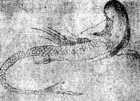リュウグウノツカイ人魚伝説
