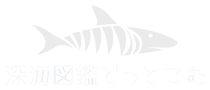 深海図鑑どっとこむ